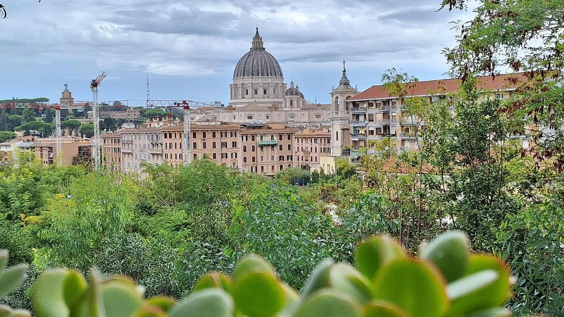Delmirani'S Book Apartments - Vatican View Rom