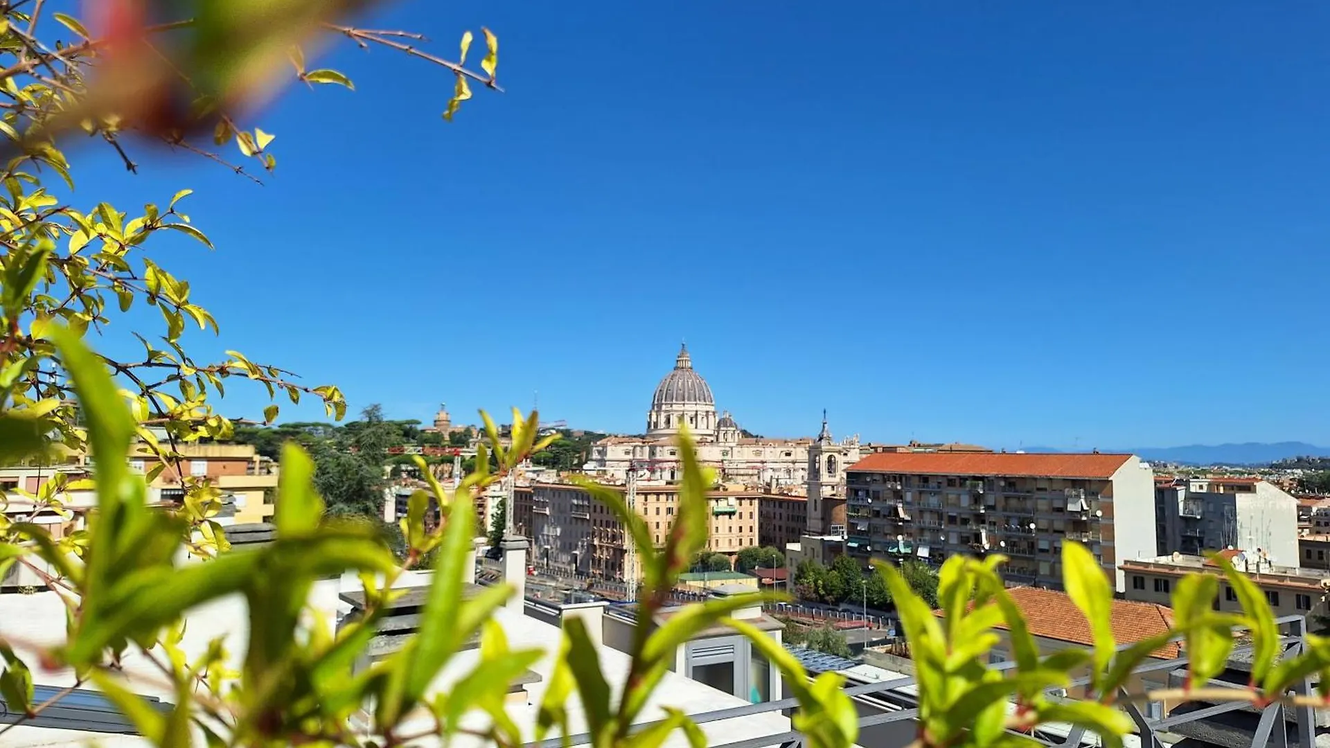 Delmirani'S Book Apartments - Vatican View Rom
